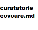 Curatatorie covoare Logo